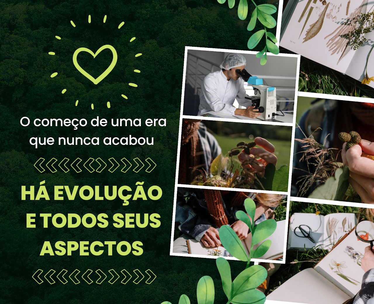 Bem-vindo ao GodHuond